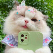 花仙魔法使者夏安安