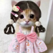 爱玩原神de小美