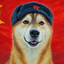 kacqer_PL