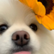 Soft