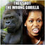 Vanilla Gorilla