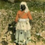 Cotton Picker