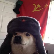 Comrade Dog