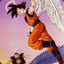 Goku From DBZ