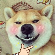 金鹰 avatar