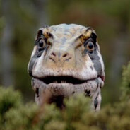 H.O.B | 𝒗𝟑𝒓𝒒