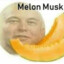 Melon Musk