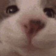 ๋