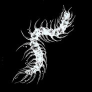 AGGRESSIVE PLAYER PROFILE