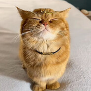 祖国我为你自豪