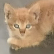 玩家头像