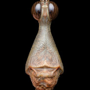 Basim - steam id 76561199556244956