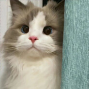 我操你妈别寄吧抓我taiming