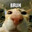 Cat Petter Steam avatar