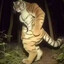 t's avatar