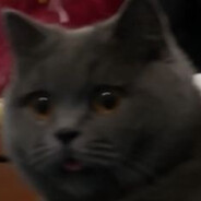 csourcerer's avatar