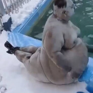 долларовый алексей