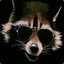 KuKuRaccoon228