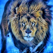 JohnFox avatar