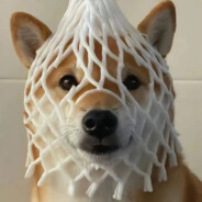 胸不大臀不翘小小g8可笑可笑