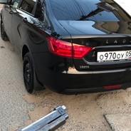 Бойцовская собак