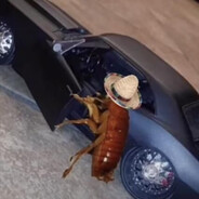 KICK:Giuli_Fortelli6