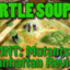 Ninja Turtle Soup