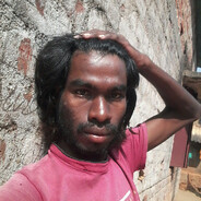 король курятника