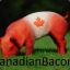 Canadianbacon