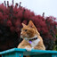 Beelo's avatar