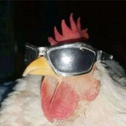 VergilGOD_