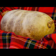 Haggis - steam id 76561197962744132