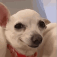☆ El Perrito Seductor ☆