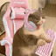 JellyCougar