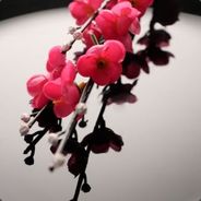 电子竞技什么都没有