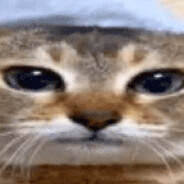 ЛоутабЛоутабович