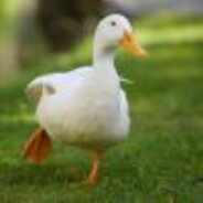 Duckomaton