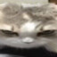 NIKITART