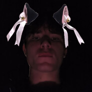jirik's avatar