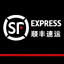 小鸟壁纸