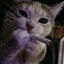 meow