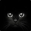 Black_Kitty_Meow