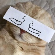 置杯中以对茶语