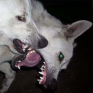 我没医保先拉我