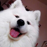 妹妹鲨手二号机