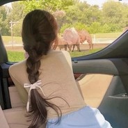 没枪不跑大傻吊