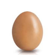 Your Average Egg