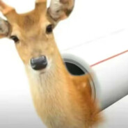 牛爷爷爆C小呆呆