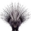 Porcupine