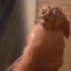 chopa